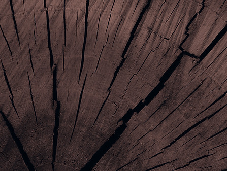 Background image - dark wood