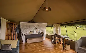 Dunia Camp room interior.webp