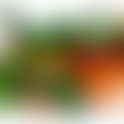 DONNE E ALIMENTAZIONE