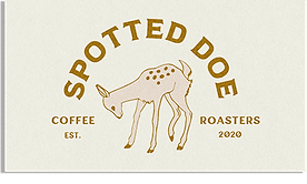 Wild & Folk Graphic Design and Brand Identity