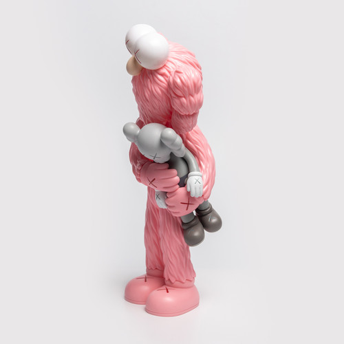 KAWS TAKE ROSA | Misitio