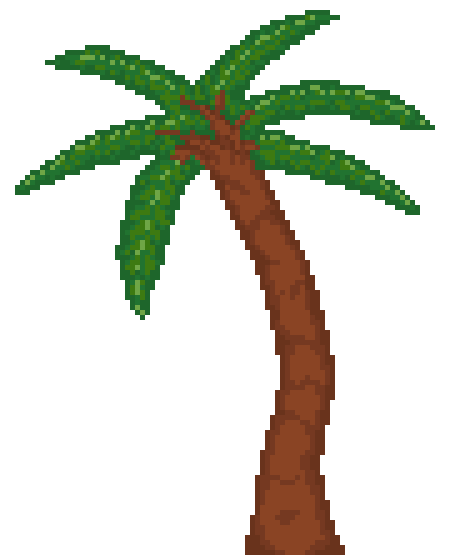 Coconut Tree