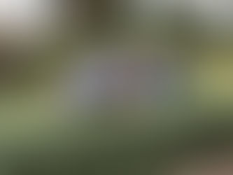 Hogan Wai: "the Institut Pasteur exposed me to new ways of learning and thinking"