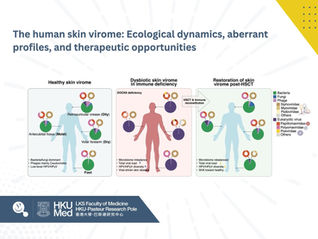 The human skin virome: Ecological dynamics, aberrant profiles, and therapeutic opportunities