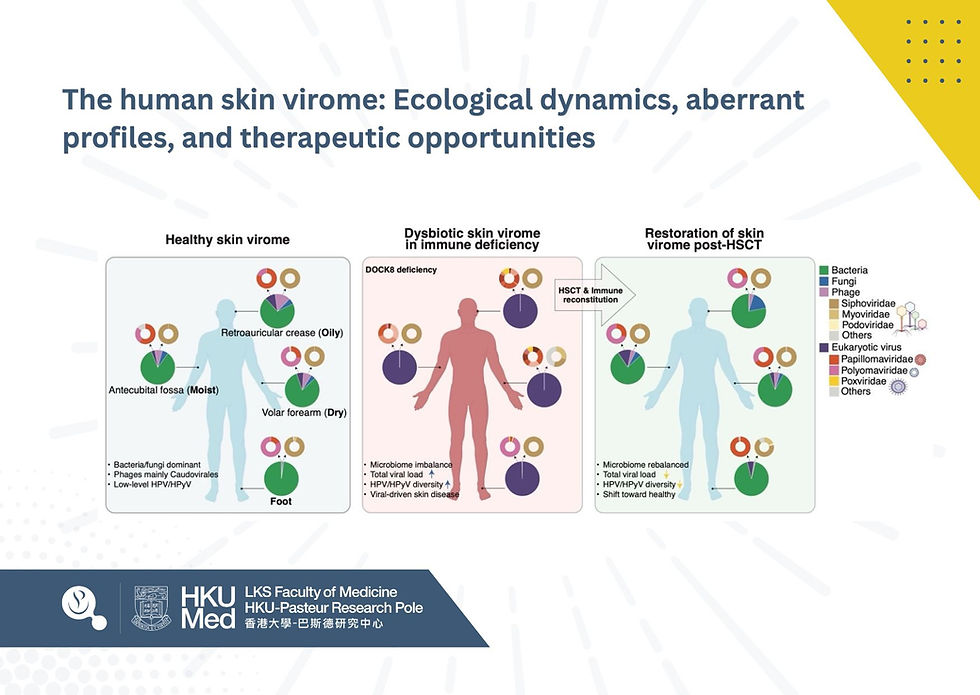 The human skin virome: Ecological dynamics, aberrant profiles, and therapeutic opportunities