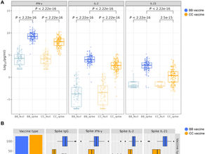 New study identifies innate immune pathway that predicts mRNA vaccine responses