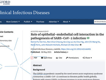 Role of Epithelial-Endothelial Cell Interaction in the Pathogenesis of SARS-CoV-2 Infection