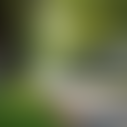 Top 5 Long Term Real Estate Investment Markets in Central Massachusetts to Watch