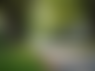 Top 5 Long Term Real Estate Investment Markets in Central Massachusetts to Watch