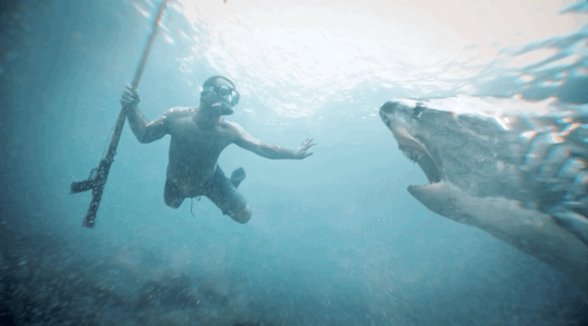 Sep-18-2020 14-31-46.gif