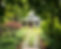 A pathway with greenery leading to a house .jpg