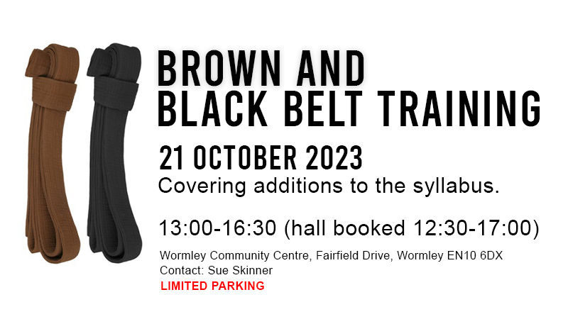 Brown & Black Belt Training
