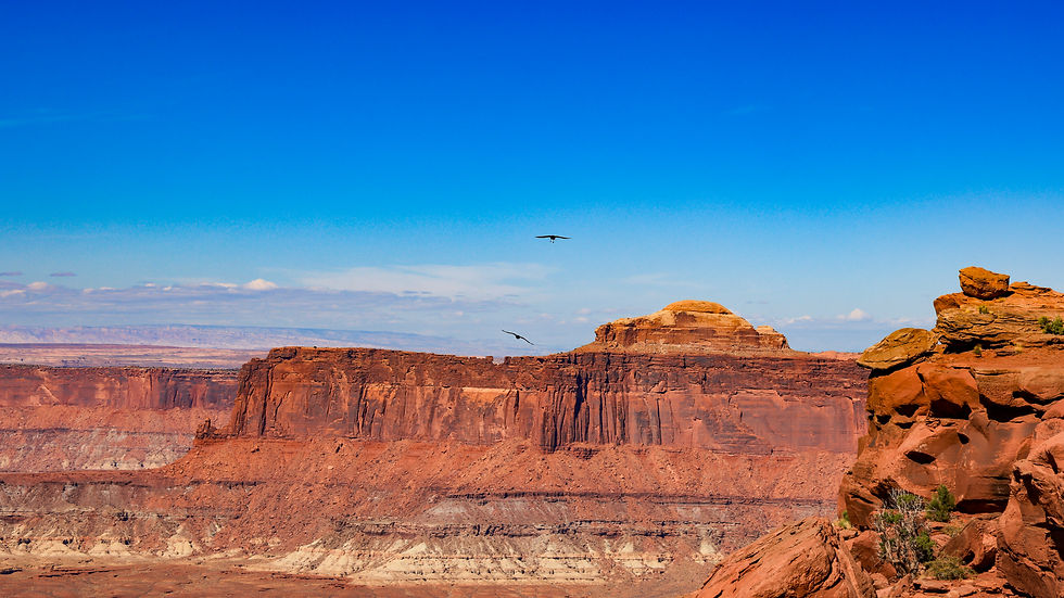 Vol de Corbeaux à Canyonland