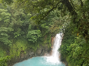turquoise waterfall dense tropical jungle.jpg