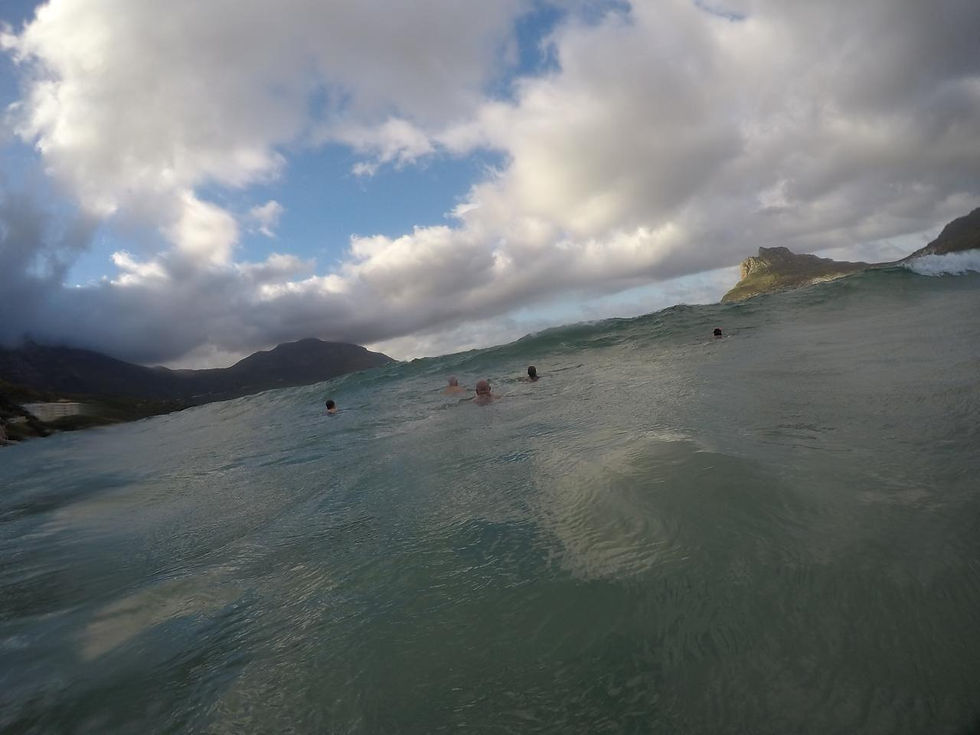 There were dolphins out and about playing, but unfortunately they are slightly elusive when taking pics! 