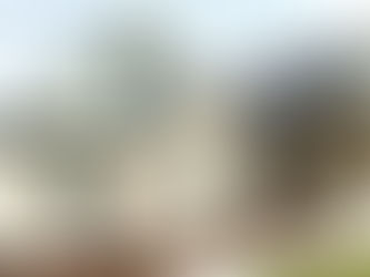 Your Dream Home Awaits: Custom Home Builders at Southern Tradesman Co.