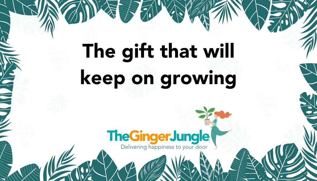 The Ginger jungle gift card
