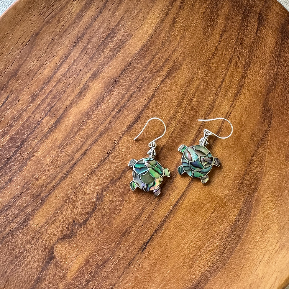 Thumbnail: Abaron Turtle シルバー925 ピアス