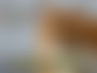 Fauna Vet alerta sobre os cuidados com a saúde dos pets machos durante o Novembro Azul