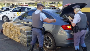 PMR persegue carro roubado e apreende quase meia tonelada de maconha na Castello Branco