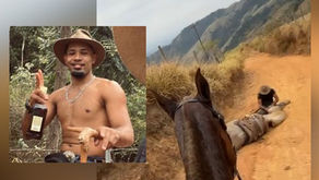 Homem que amputou patas de cavalo no interior de SP responderá pelo crime em liberdade