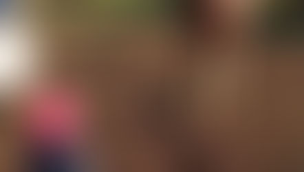 Cavalo de criança autista é encontrado em Porangaba após reportagem