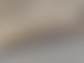 Enxame de abelhas assusta moradores, mas é removido com segurança no Jardim São Luiz, em Porangaba