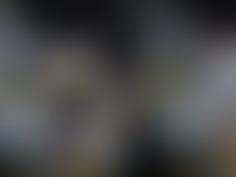 Polícia apreende cocaína e centenas de anabolizantes em caminhão com sucata na Castello Branco