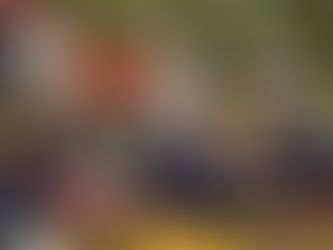 Cinco pessoas ficam feridas após ataque de abelhas no interior de SP