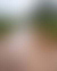 Moradores do Bairro Alpes da Castelo cobram manutenção em estrada de acesso em Bofete