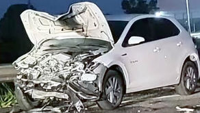 Búfalo causa engavetamento na Rodovia Castello Branco; uma pessoa fica gravemente ferida