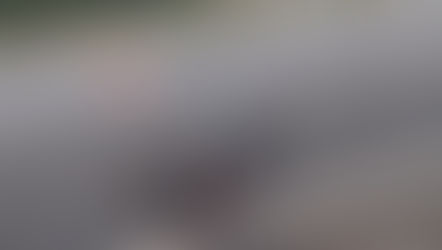 Motociclista morre depois de atropelar cavalo na SP-127