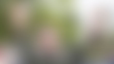 Bolsonaro confirma favoritismo e é o 42º presidente