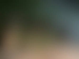 Filhote de onça-parda é flagrado caminhando pelo centro de Guareí e mobiliza equipes de resgate