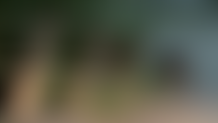 Filhote de onça-parda é flagrado caminhando pelo centro de Guareí e mobiliza equipes de resgate