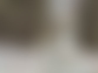 Cachorrinha é furtada de frente de casa e revolta família em Porangaba