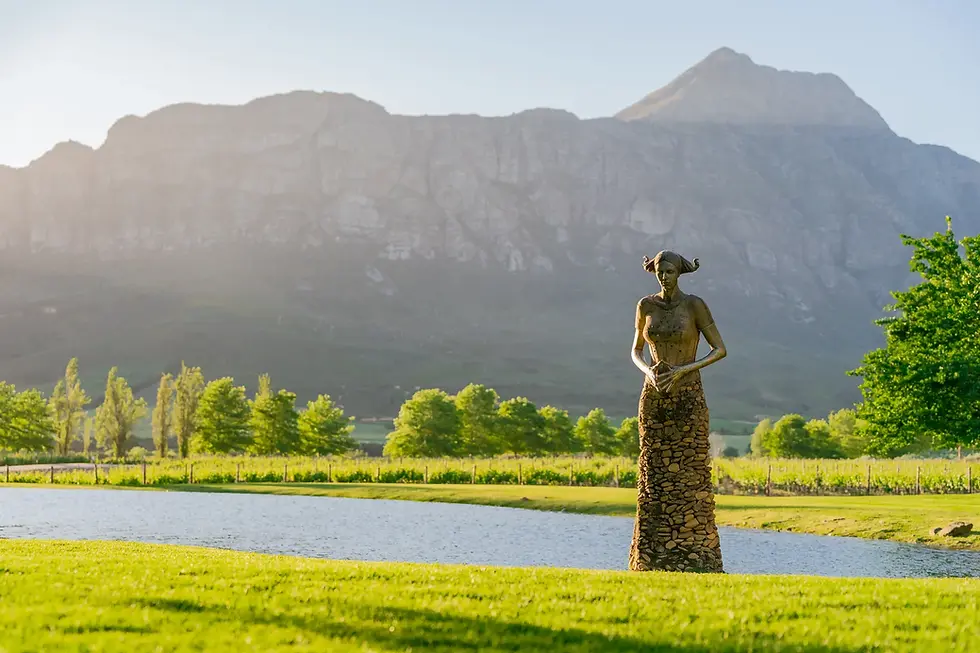 Saronsberg Cellar - H&H Hotel Marketing-06979 copy.webp