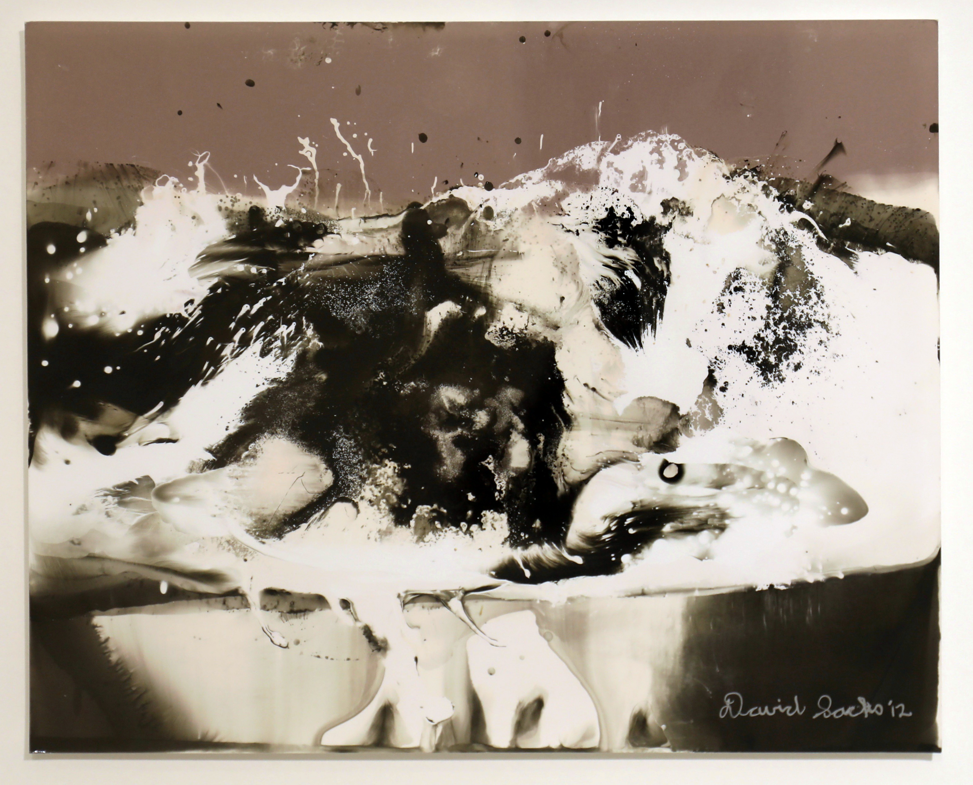 David Sacks