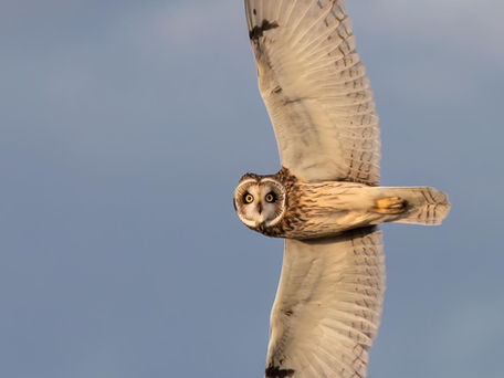 Honor the Past. Don’t Haul It Forward.