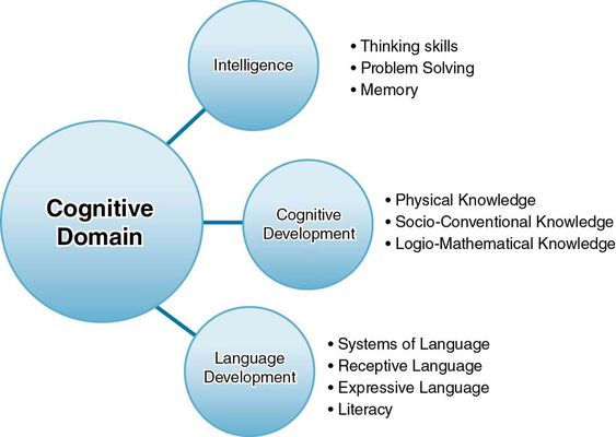 Cognitive process.jpeg