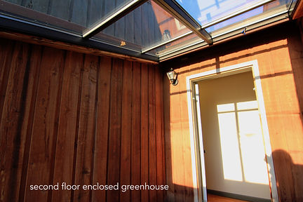 greenhouse 2.jpeg