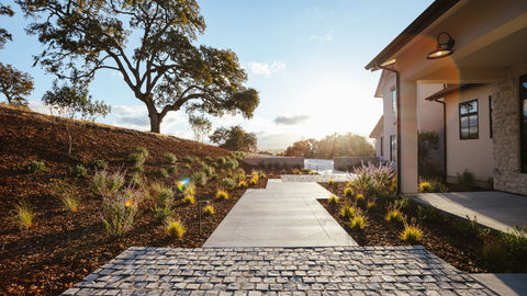 a cobblestone walkway leads to a house with a tree in the background