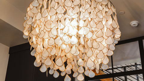 a chandelier with a lot of white leaves hanging from it