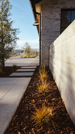 a concrete walkway with a few plants on the side