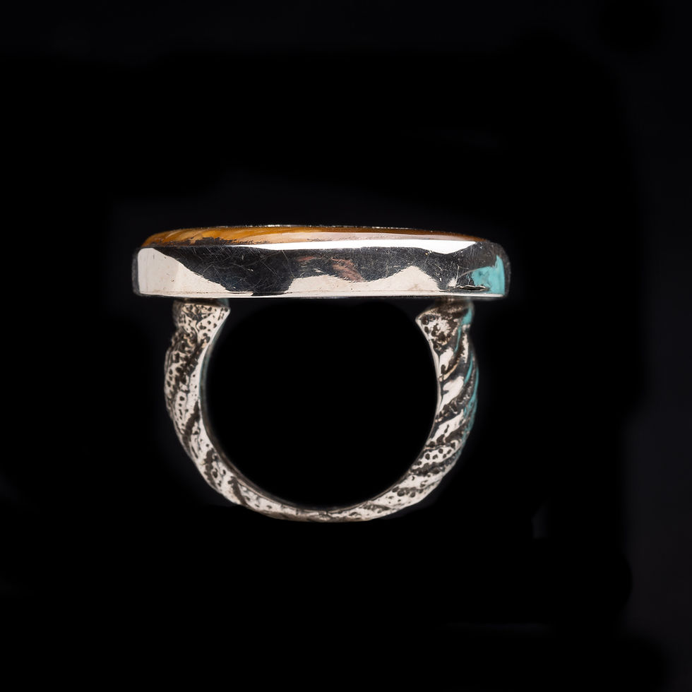 Thumbnail: Fossil