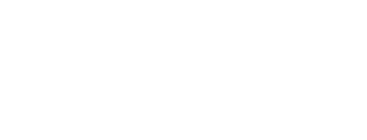 Alsion Wordmark