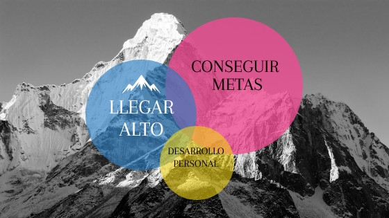 tipos de coaching