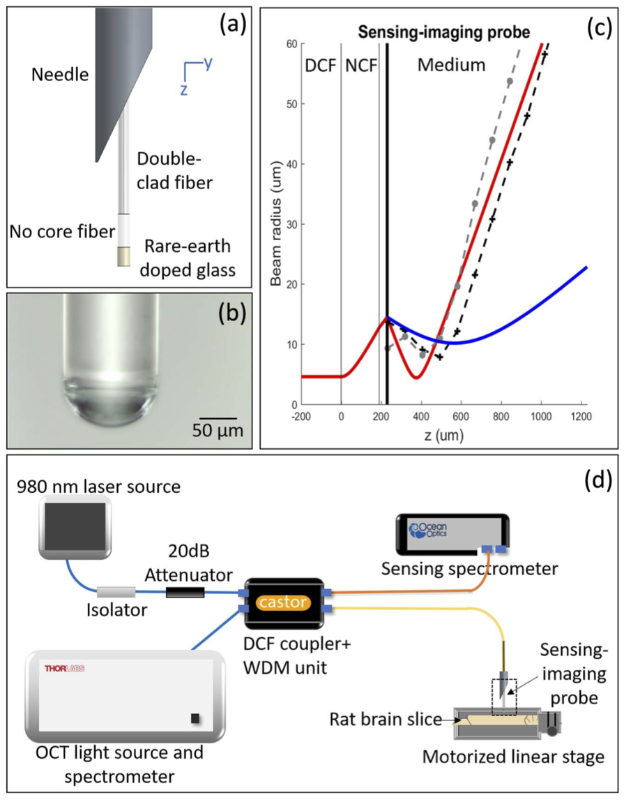 Combined imaging and sensing probe