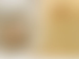 Seeing Like Leonardo: Timeless Principles for a Modern Life