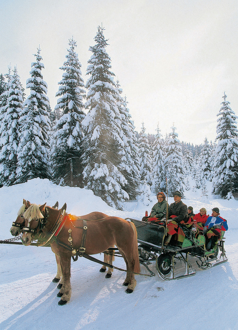 Horse sleigh rides